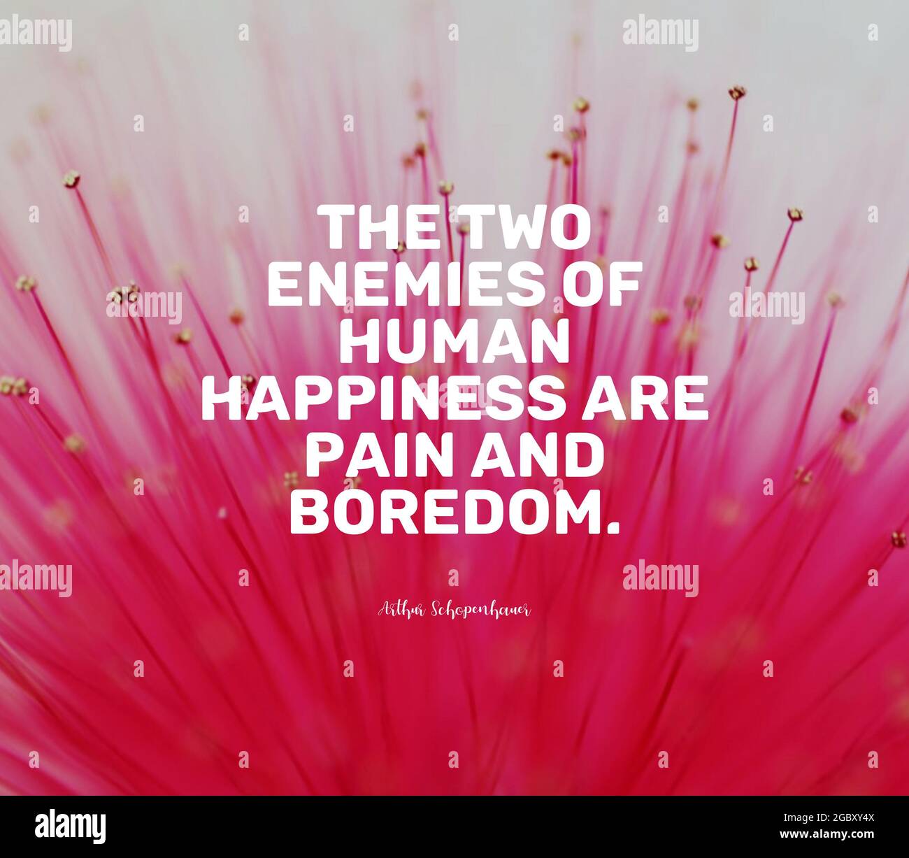 Quote By Arthur Schopenhauer The Two Enemies Of Human Happiness Are Pain And Boredom Stock Photo Alamy