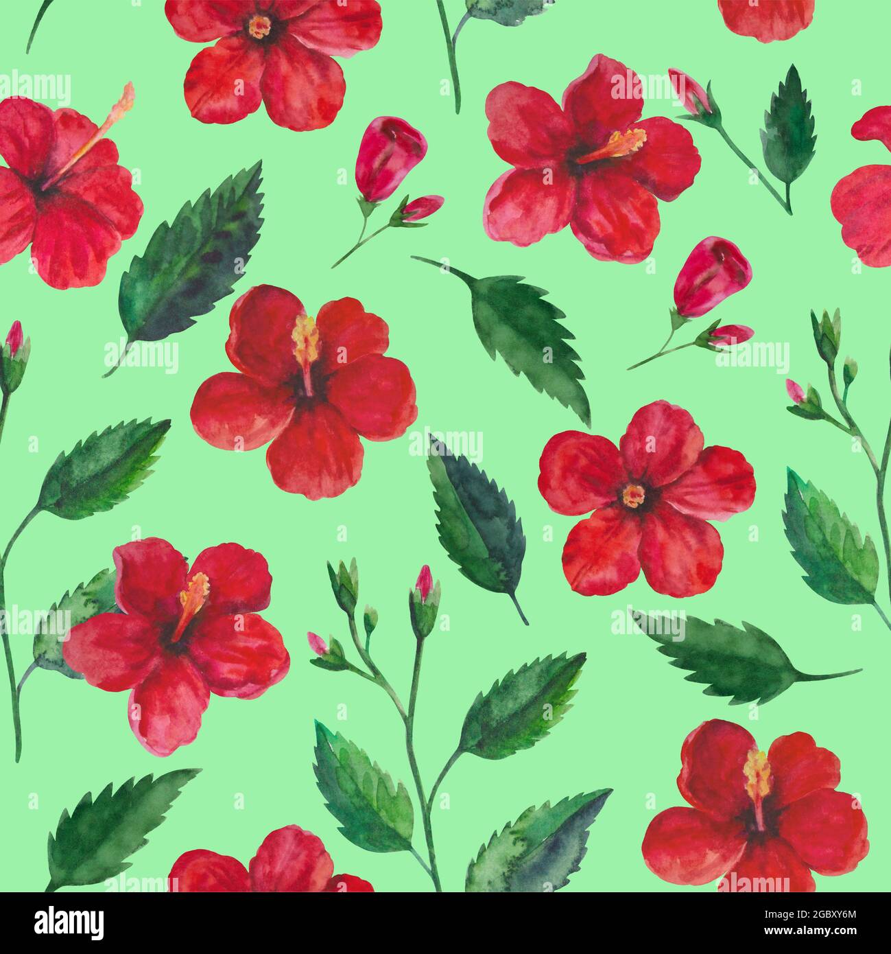 Watercolor Seamless Tropical Pattern With Hibiscus Lowers For Design