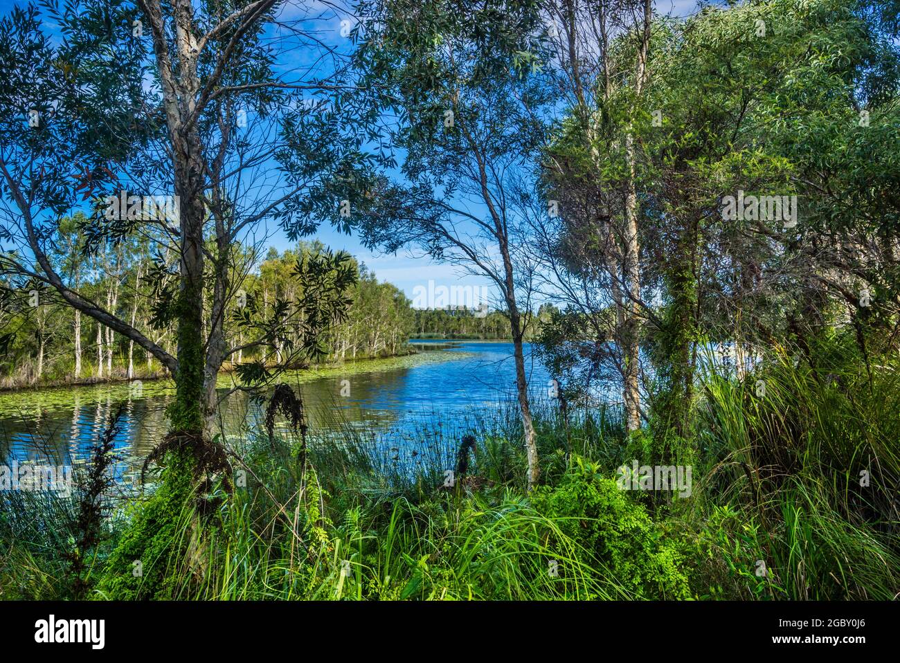 Sandstone Lakes scenic parkland at Ningi in the Moreton Bay region, Southeast Queensland, Australia Stock Photo