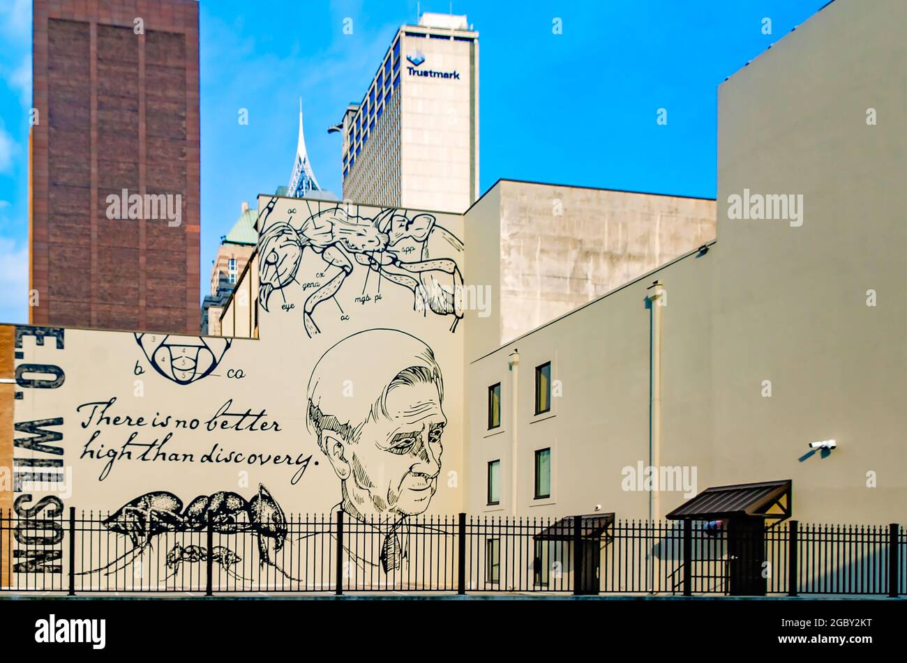 Street art honors naturalist E.O. Wilson, Aug. 1, 2021, in Mobile, Alabama. The 60-foot mural was painted by local artist Andy Scott. Stock Photo