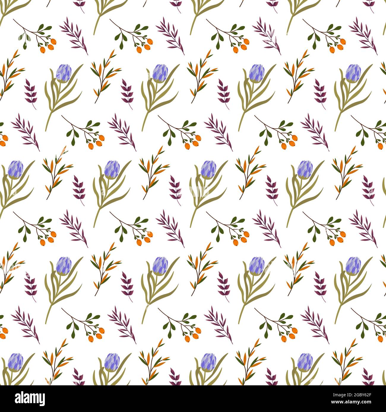 Protea pattern with purple leaves and orange berries. Floral vector pattern on white background.  Stock Vector