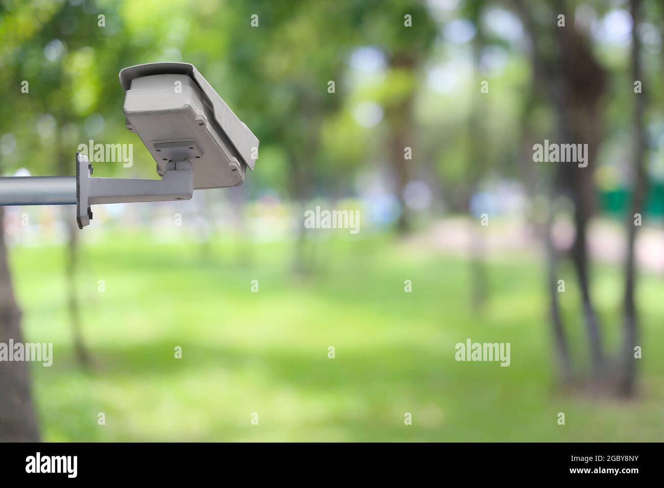 CCTV system in the garden and have copy space,Instrumental in security  tools for monitor Stock Photo - Alamy