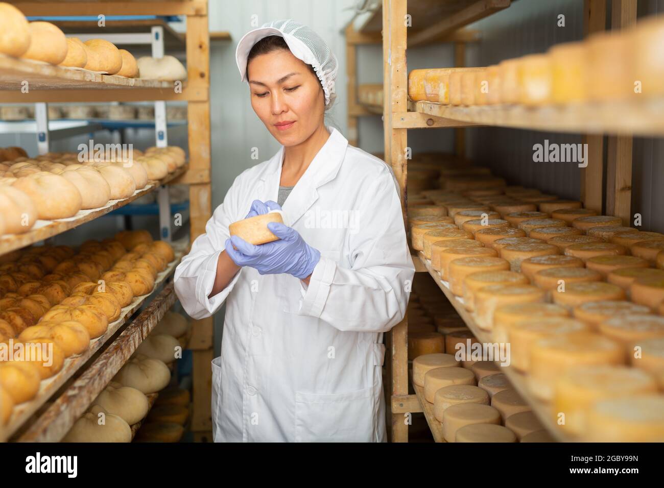 Cleaning cheese while it matures at cheese factory Stock Photo Alamy