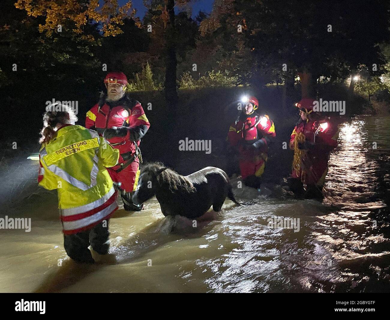 Germany flood animal rescue hi-res stock photography and images - Alamy