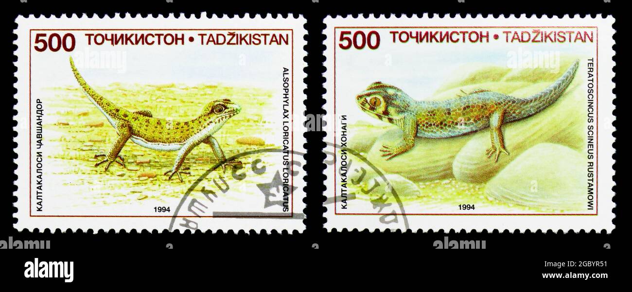 MOSCOW, RUSSIA - NOVEMBER 26, 2017: Two postage stamps printed in Tajikistan from the Lizards serie, circa 1995 Stock Photo