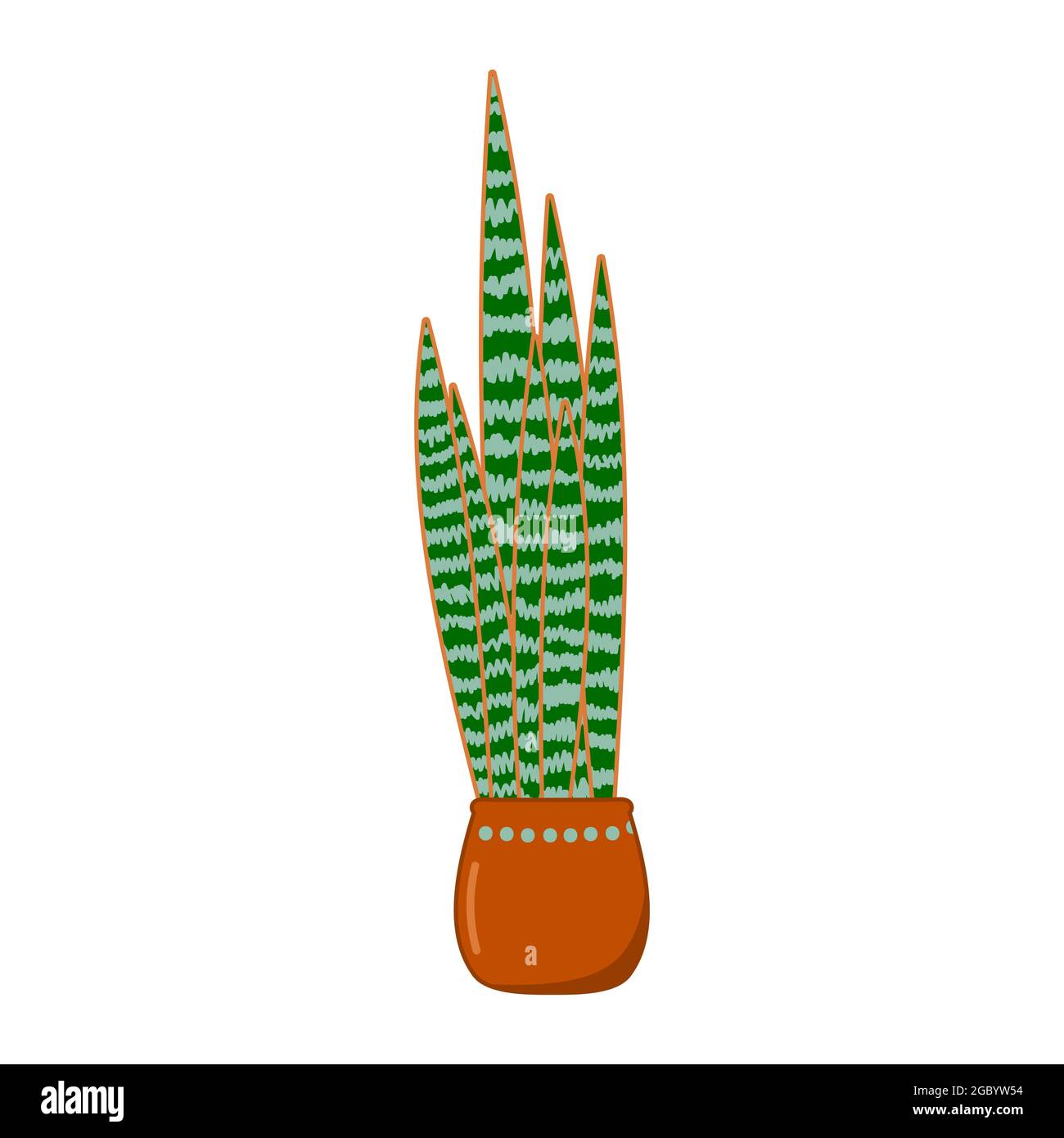 Sansevieria, trifasciata plant in pot. Hand drawn indoor and outdoor landscape garden potted plant. Urban jungle, trendy home decor with plant, tropic Stock Vector