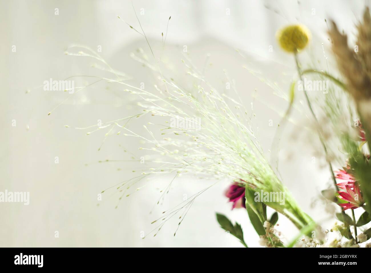 Colorful bouquet in the sunlight Stock Photo Alamy