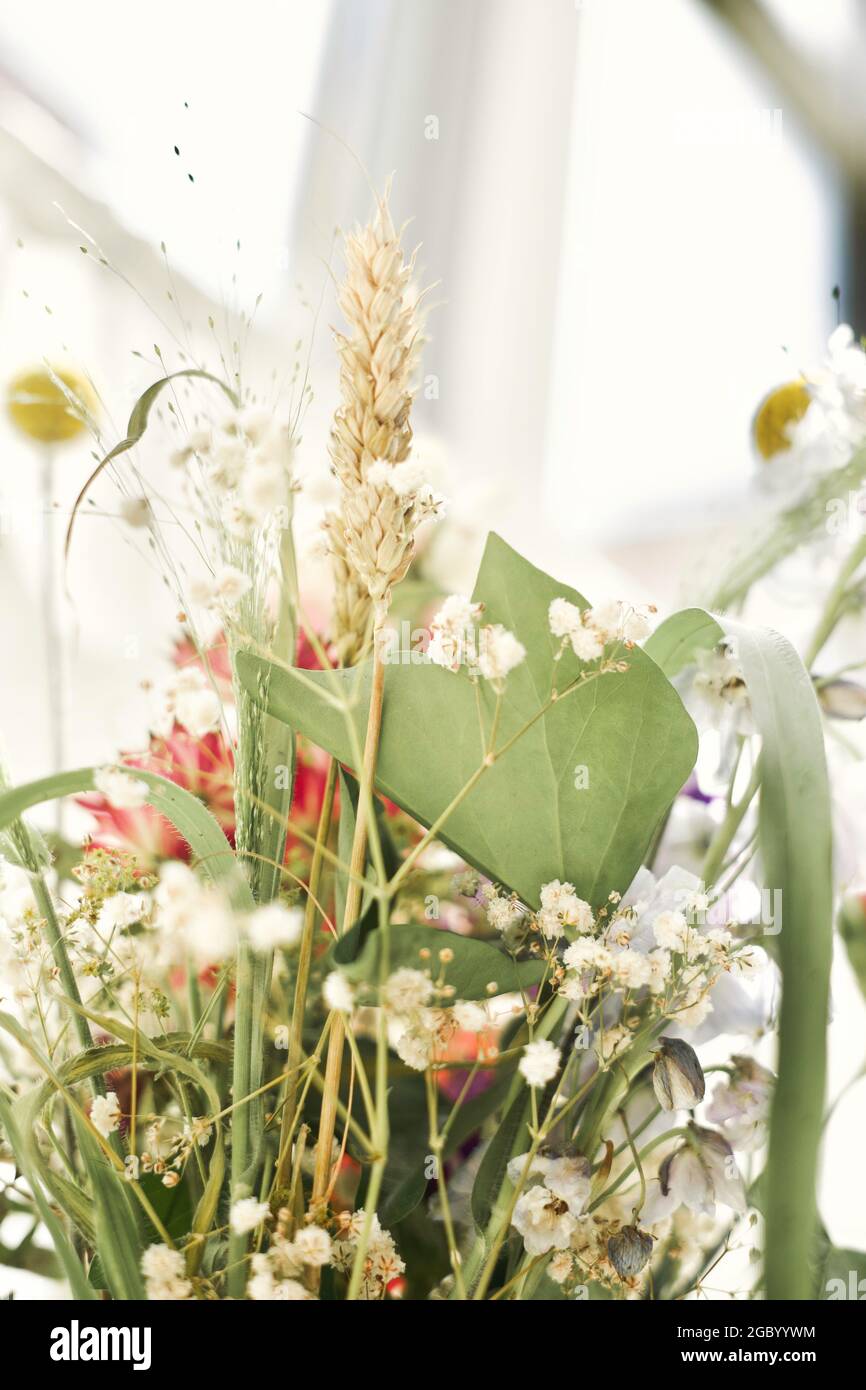 Colorful bouquet in the sunlight Stock Photo Alamy