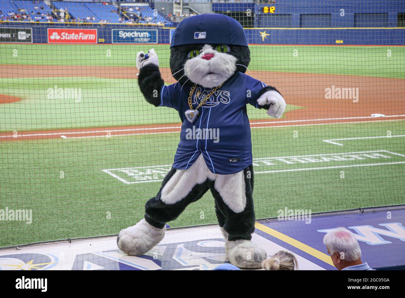 St. Petersburg, FL. USA; Tampa Bay Rays mascot D.J. Kitty