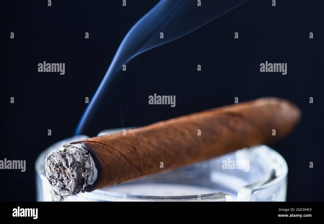 Steaming cigar. Lighting cuban cigar. Tobacco smoking. Tobacco smoke