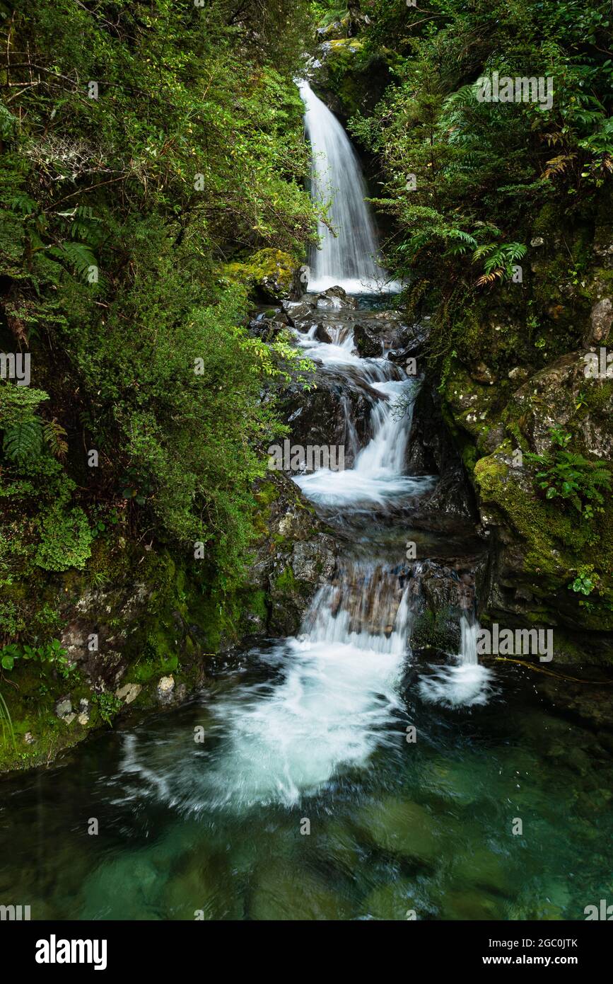 Avalanche Creek Waterfall in the rain, Arthur’s Pass, South Island. Vertical format Stock Photo