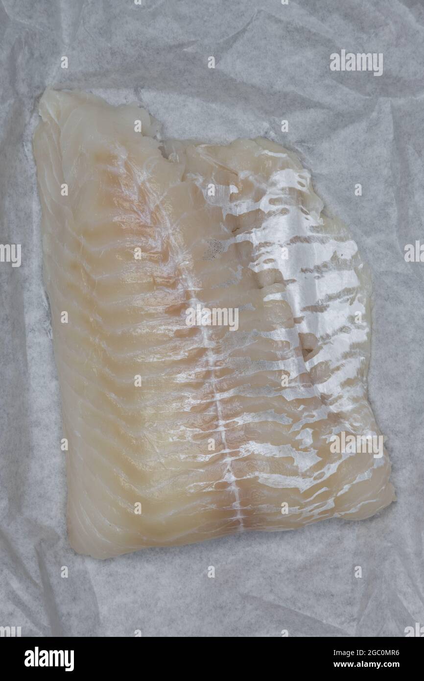 Cod fillet on white paper. Stock Photo