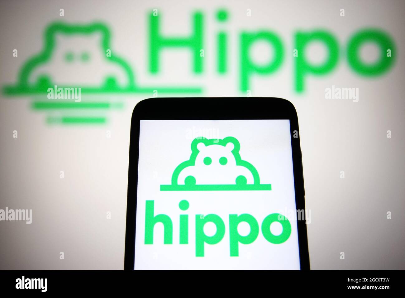 Hippo Logo High Resolution Stock Photography and Images