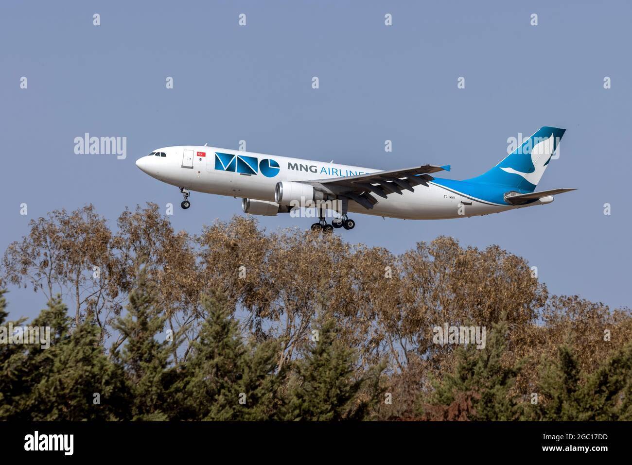 MNG Airlines Cargo Airbus 300C4-605R (Reg.: TC-MNV) on finals runway 31 in the afternoon. Stock Photo