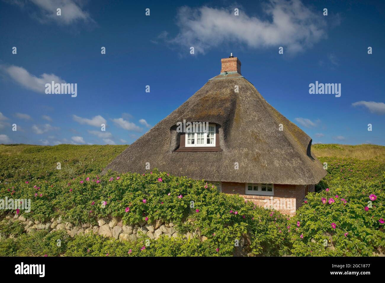 thatched roof house, Frisian house in Hoernum, Germany, Schleswig-Holstein, Sylt, Hoernum Stock Photo