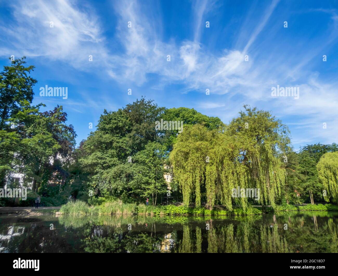 cirrus clouds over the pond 'Am Weiher', Germany, Hamburg Stock Photo