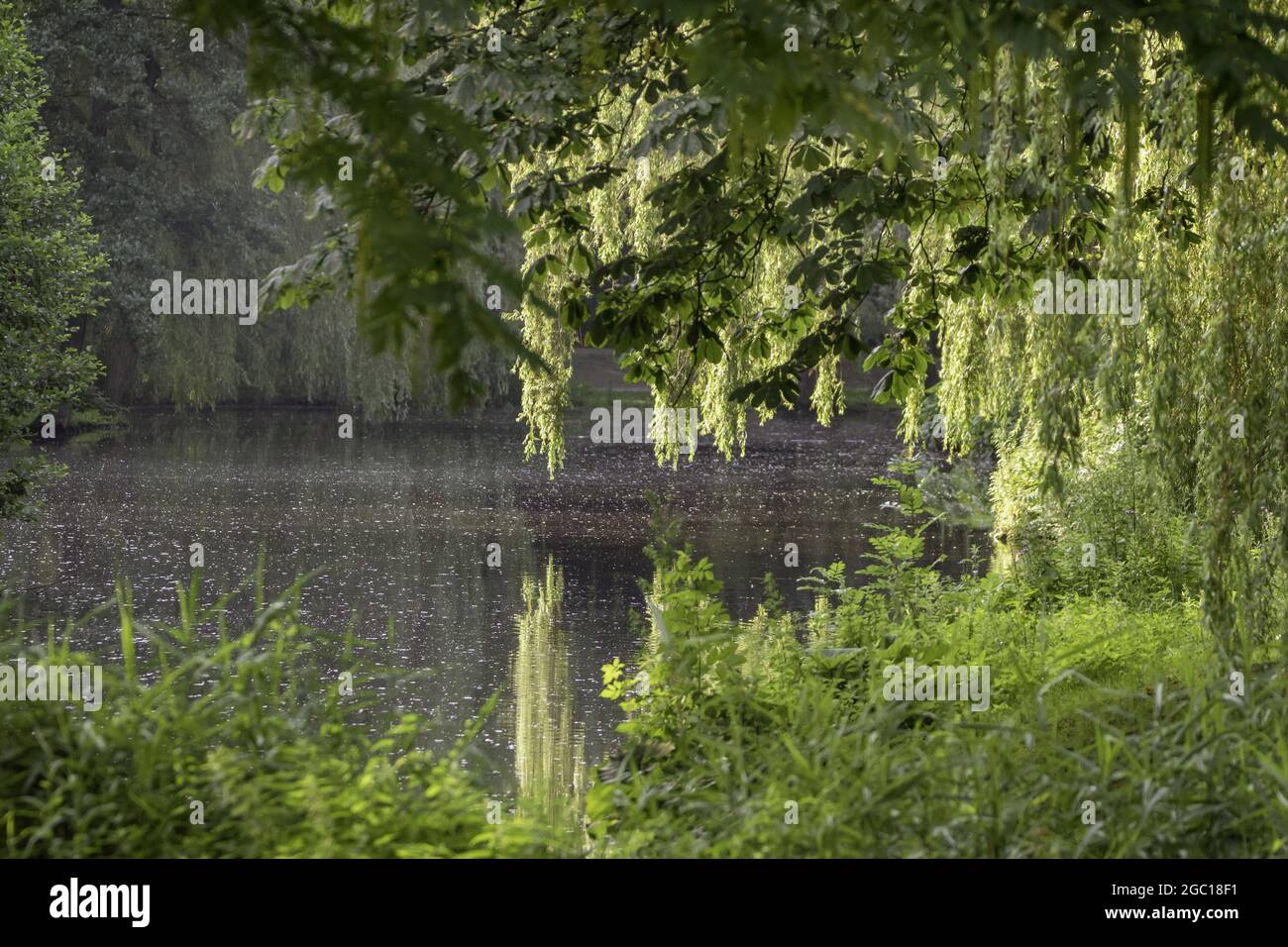 pond shore 'Am Weiher' in Hamburg, Germany, Hamburg Stock Photo