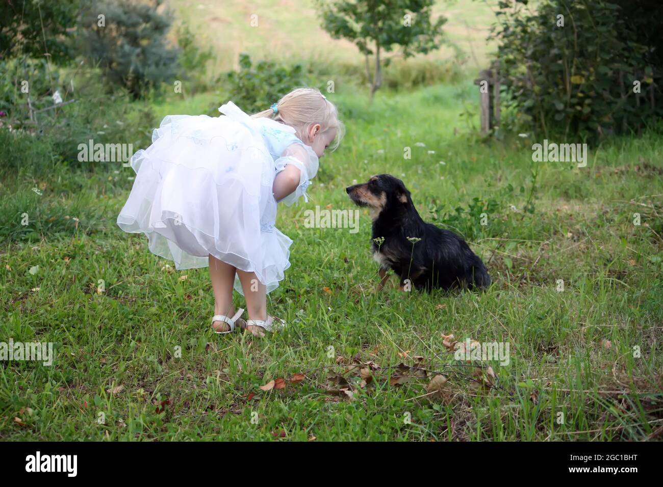 A little blonde girl with a dog in the summer garden Stock Photo - Alamy