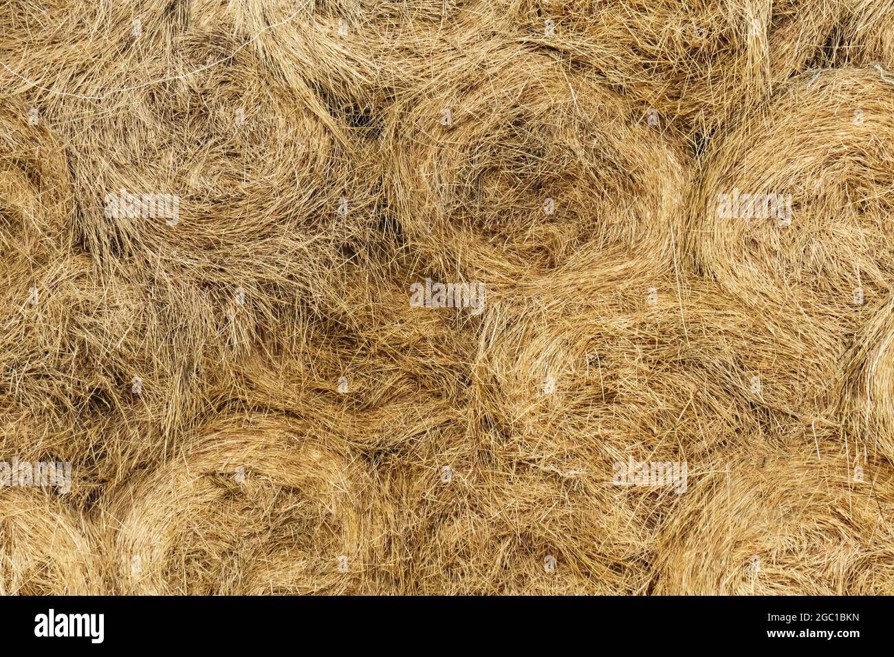 Farm theme: haystacks laying on each other Stock Photo
