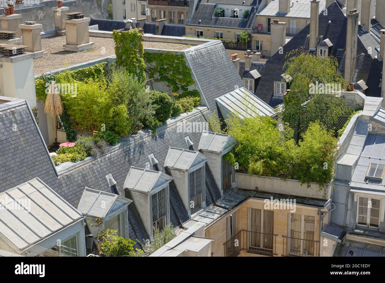 Paris, Dachgarten im Marais // Paris, Rooftop Terrace in Marais Quarter
