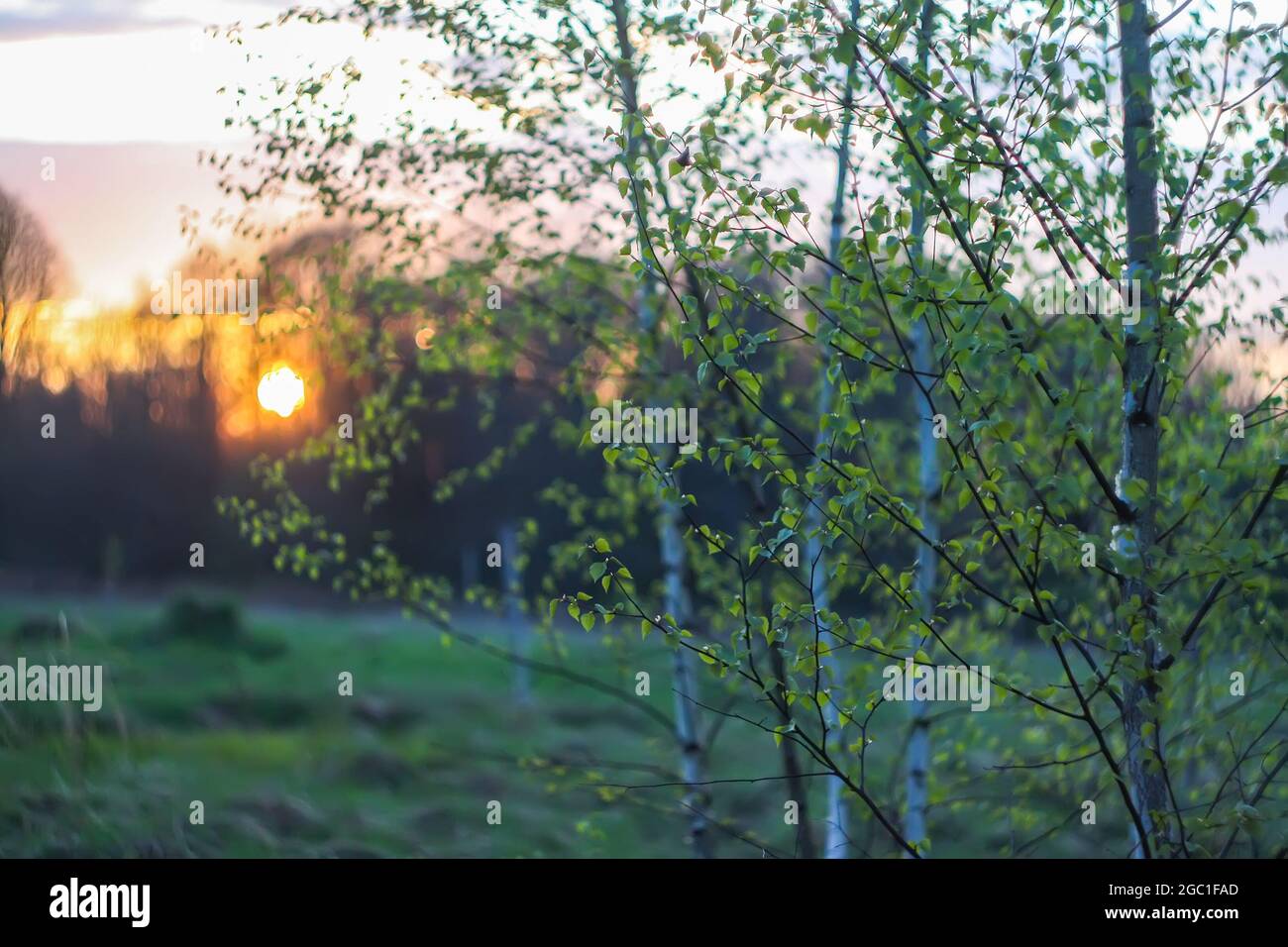 Spring landscape in the countryside. Beautiful sunset in april Stock ...
