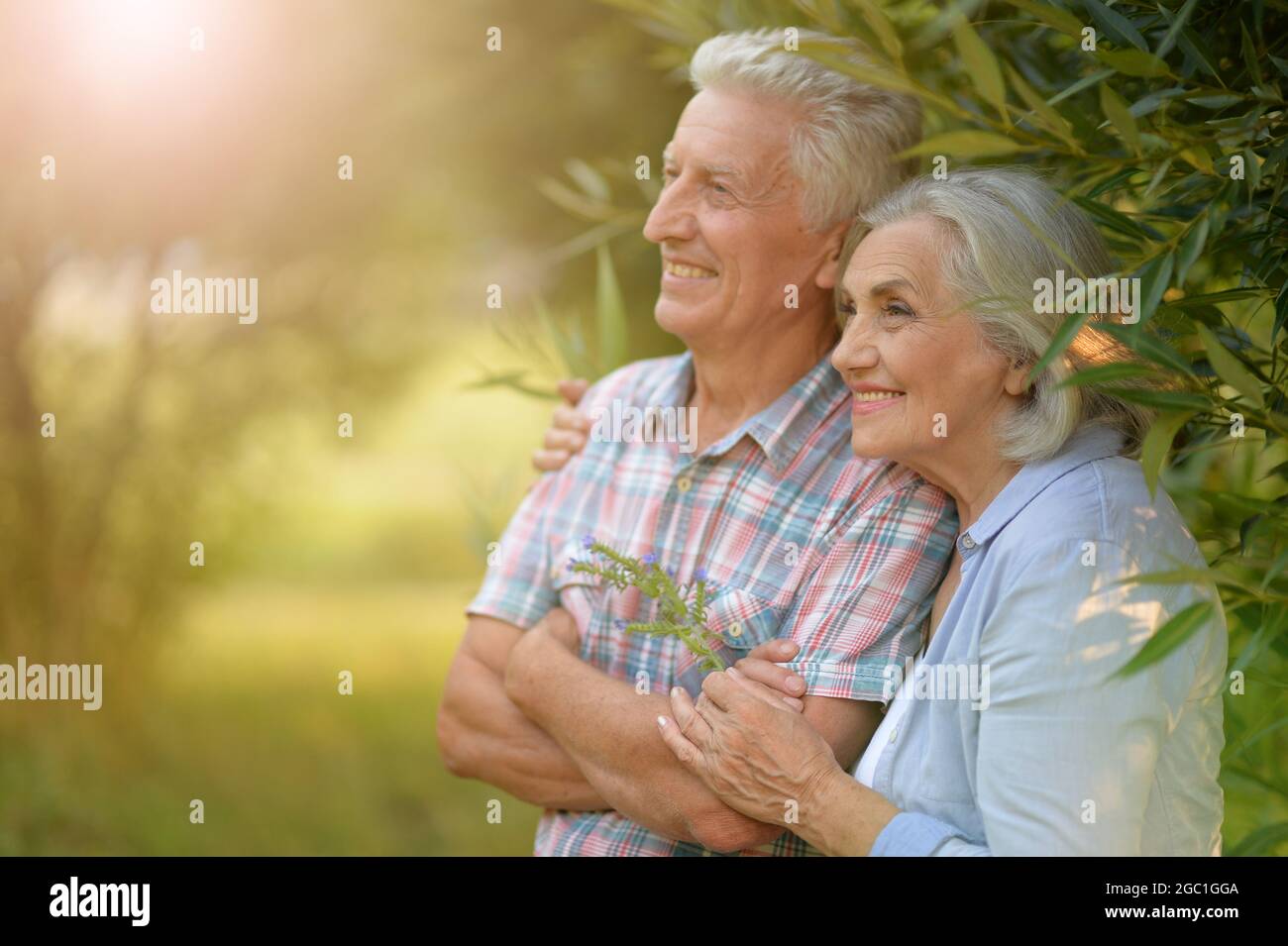 Portrait of senior couple posing in the park Stock Photo - Alamy