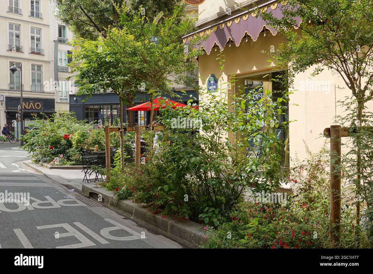Paris, Rue Montyon, Straßenbegrünung // Paris, Rue Montyon, Greening Stock  Photo - Alamy