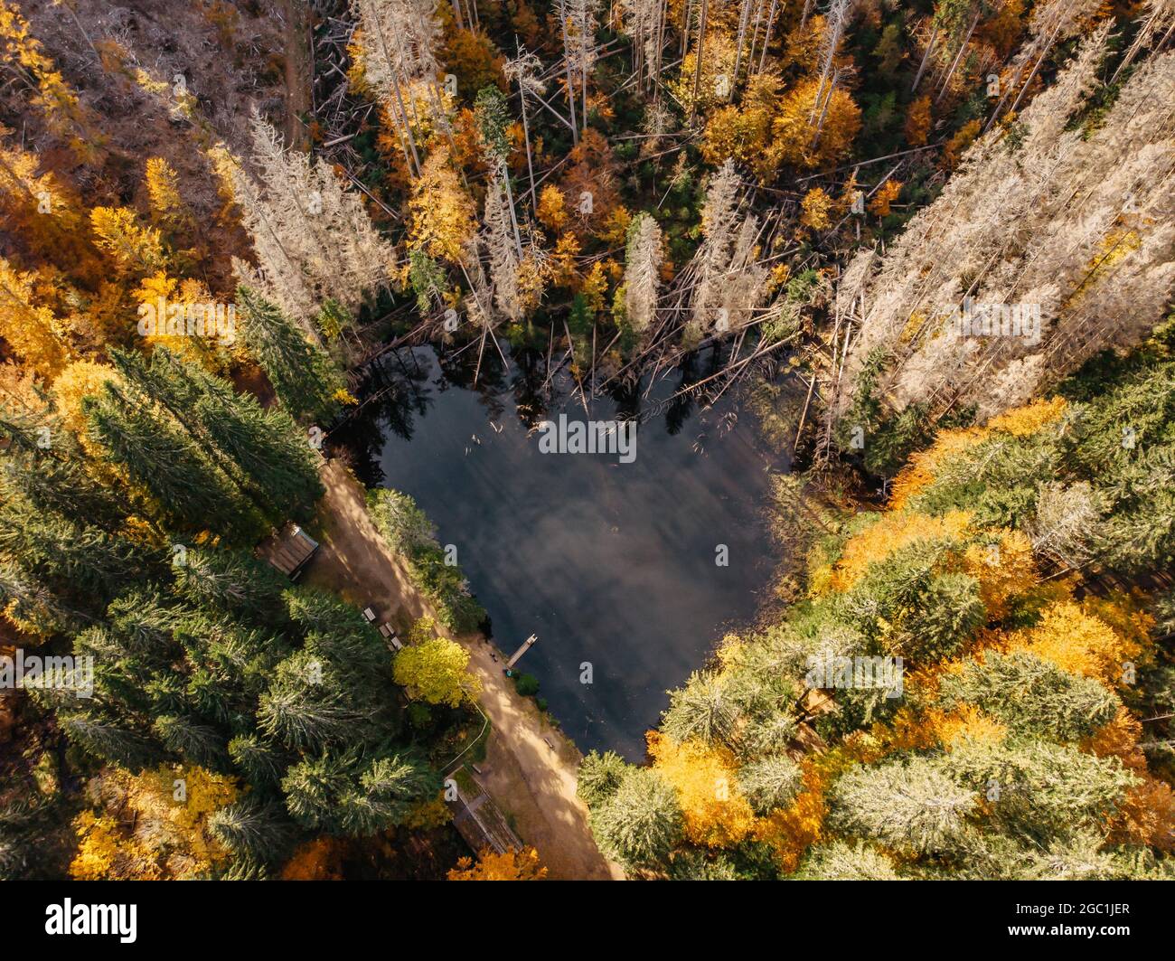 Fall forest landscape with lake view from above,Sumava, Czech republic.Colorful nature background.Autumn aerial drone view.Idyllic fall scenery Stock Photo