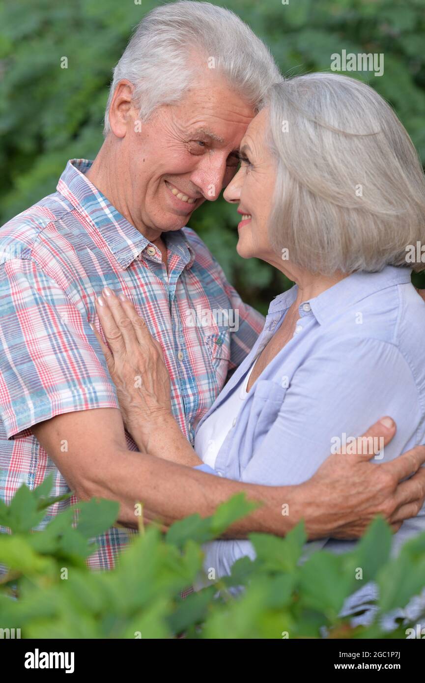 Portrait of senior couple posing in the park Stock Photo - Alamy