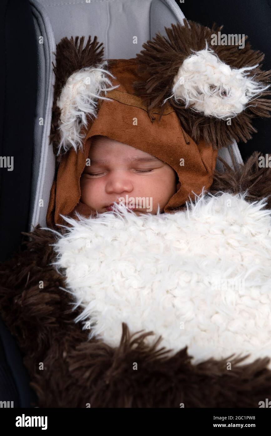 A very small Ewok catches up on some sleep during an early start to the 'May the 4th'celebrations at Federation Square, which saw families and fan club members come together to celebrate their love of all things Star Wars.  Credit: Michael Currie/Speed Media/Alamy Live News Stock Photo
