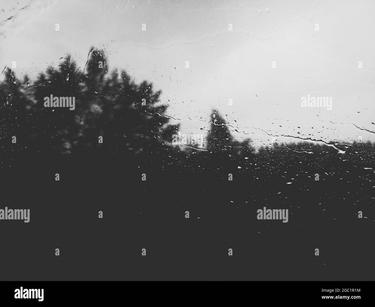 Raindrops on the car window glass. Road and trees. Black and white photo. Stock Photo