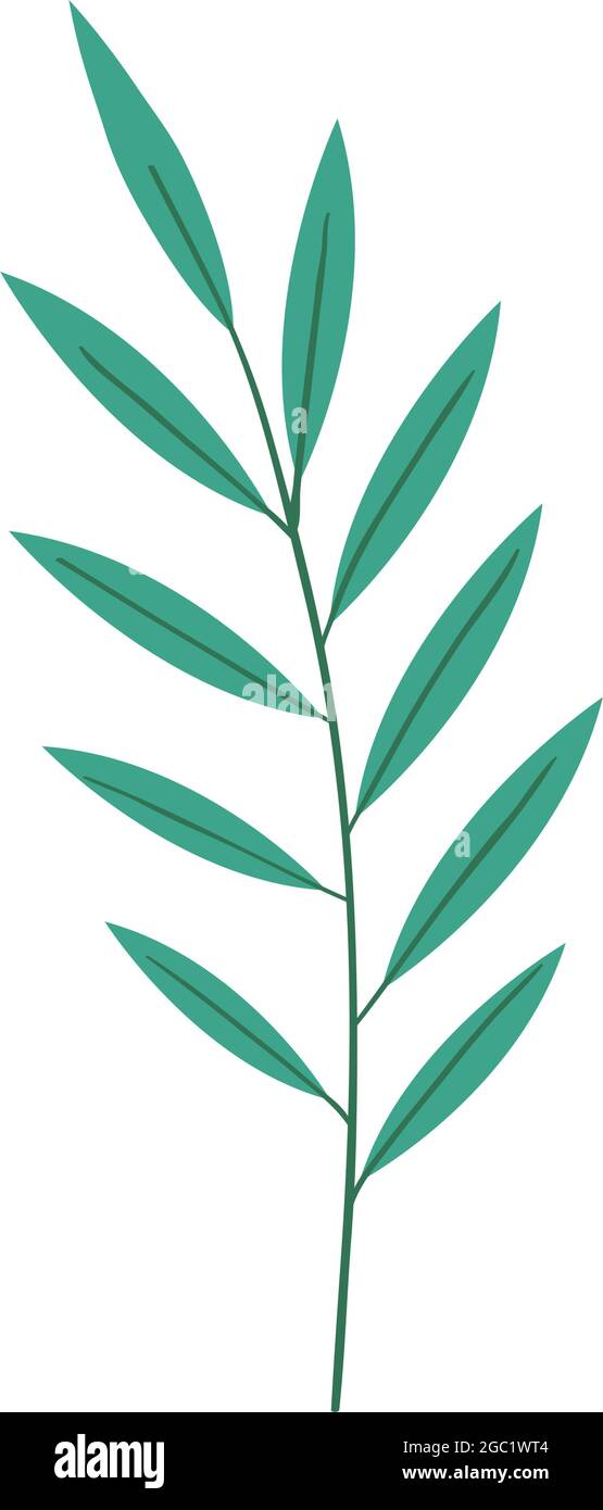 branch and leaves Stock Vector Image & Art - Alamy