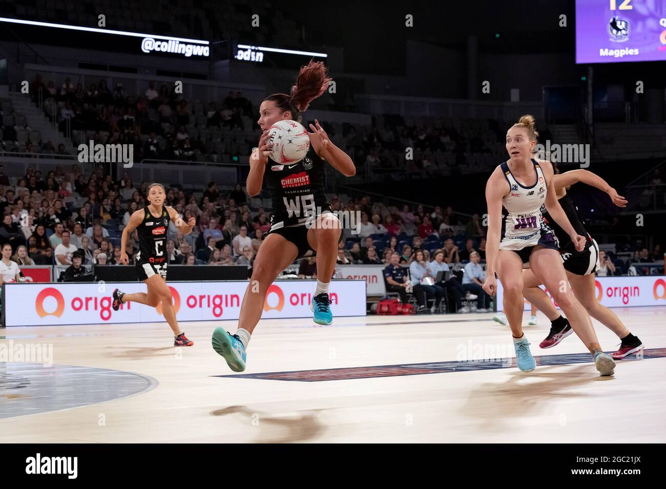 MELBOURNE, AUSTRALIA - MAY 01: Wing Attack Kelsey Browne of the Collingwood Magpies catches the ball mid air  during the Suncorp Super Netball round one match between Collingwood Magpies and Sunshine Coast Lightning on May 01, 2021 at John Cain Arena in Melbourne, Australia.  Credit: Michael Currie/Speed Media/Alamy Live News Stock Photo