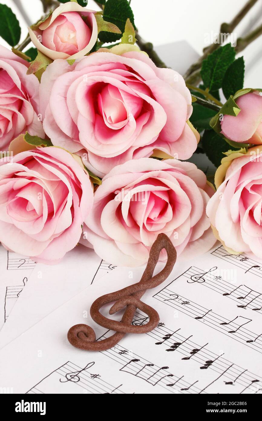 Clef Notes With Roses Treble clef and roses on musical background Stock Photo - Alamy
