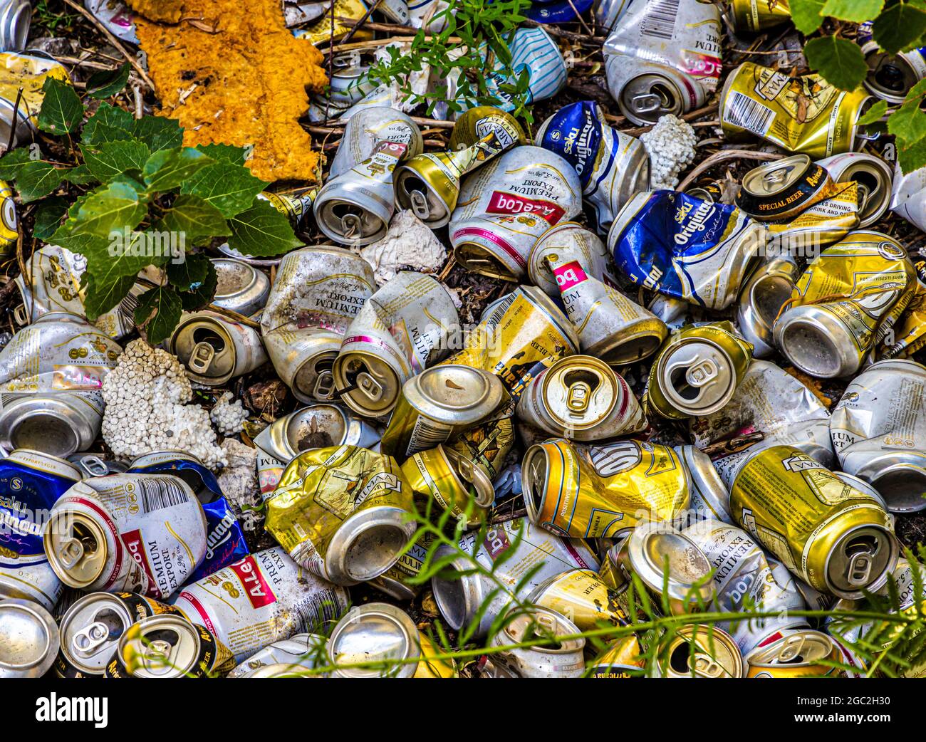 Empty, crushed beer cans disposed of on the ground outdoors Stock Photo