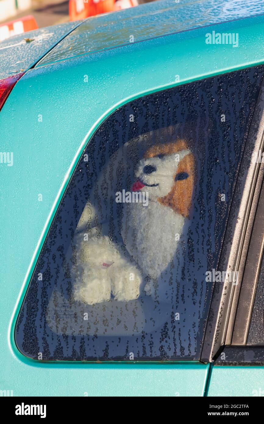 England, Hampshire, Test Valley, Stockbridge, Toy Dog in Parked Car Stock Photo