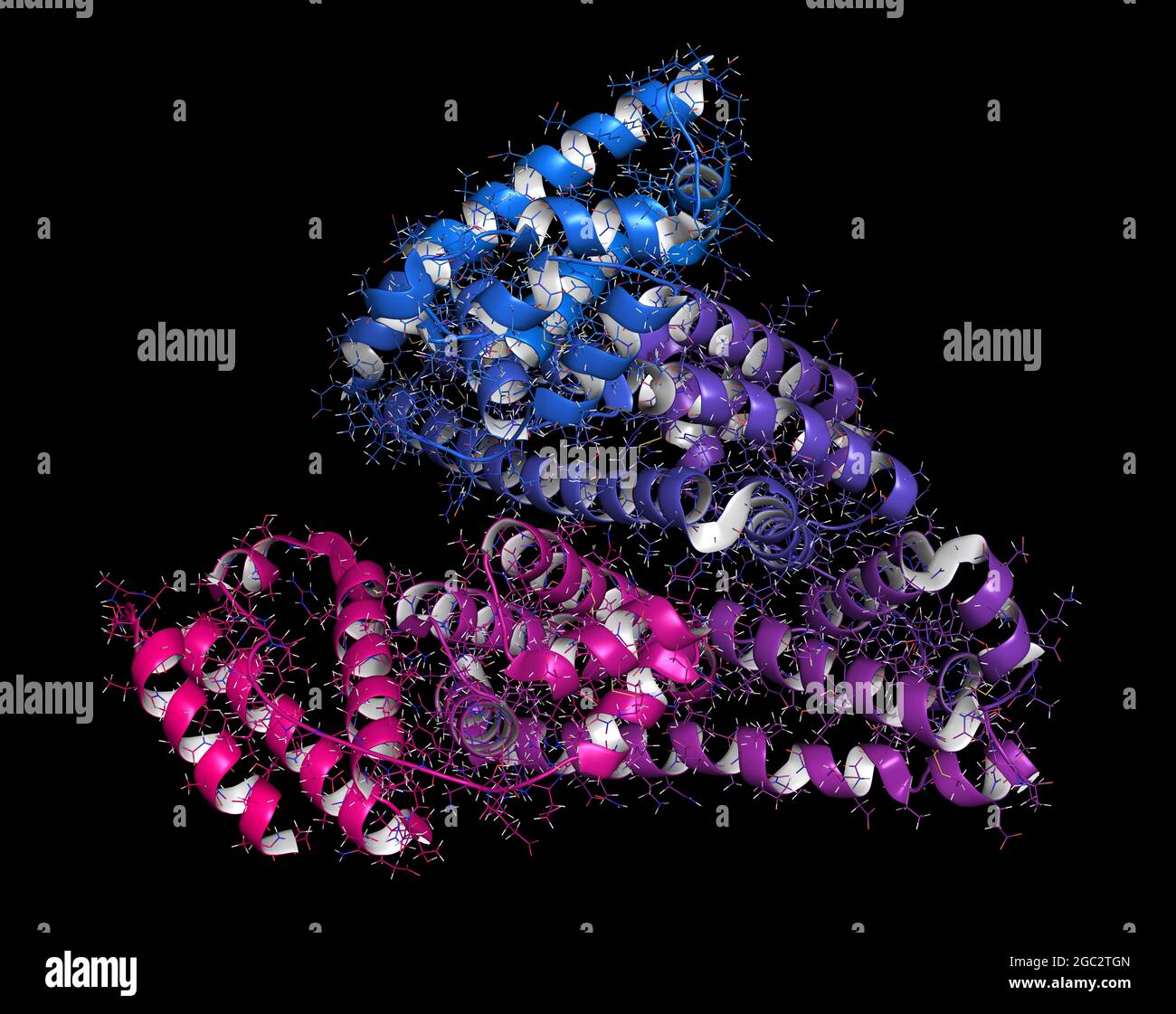 Human serum albumin protein, 3D rendering. Cartoon & wireframe r Stock