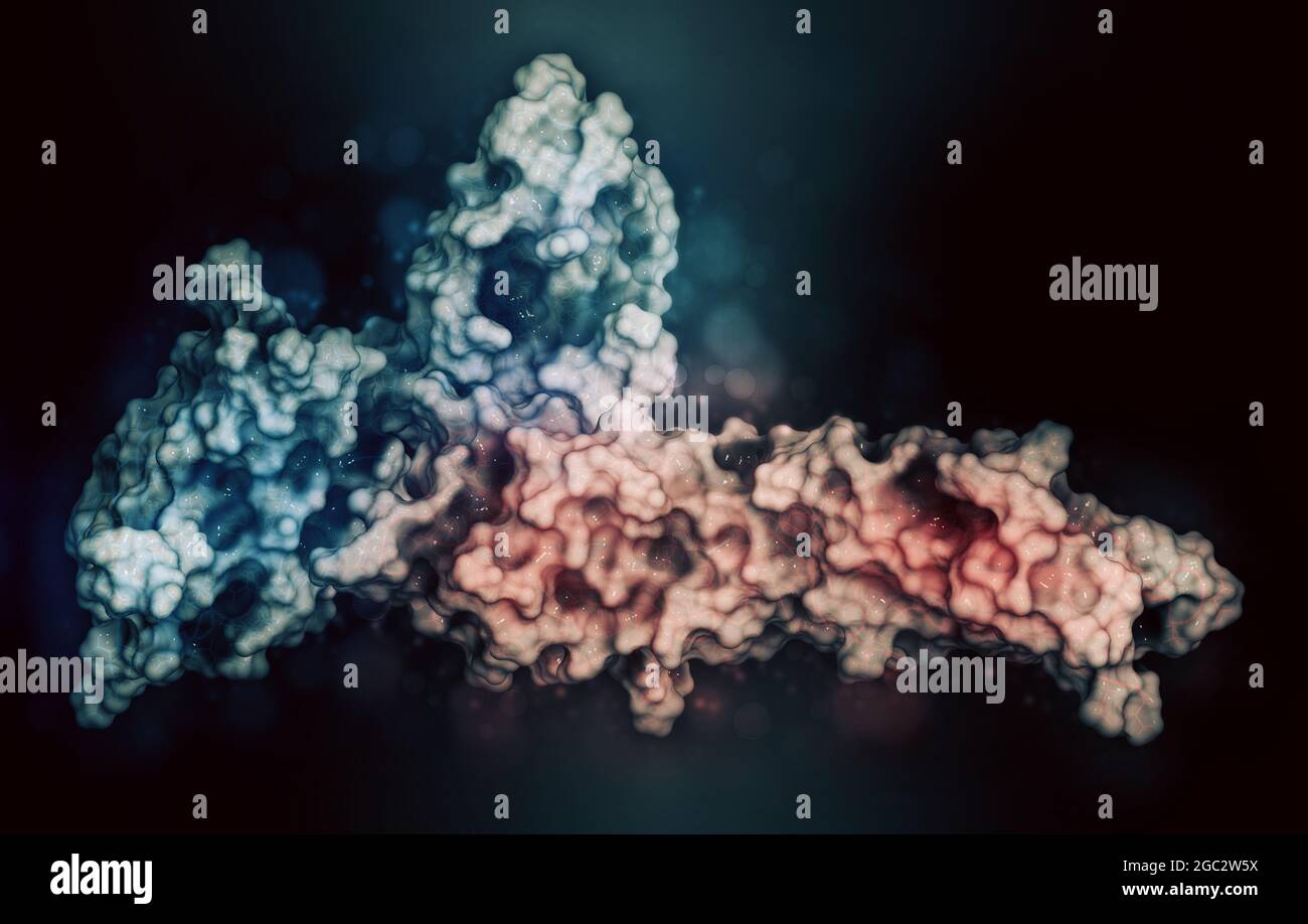 Programmed cell death 1 (PD-1, CD279) immune checkpoint protein Stock ...