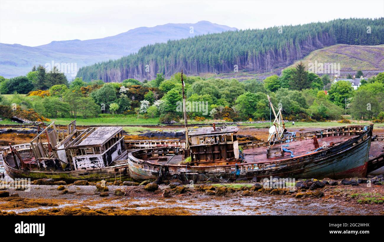 ABANDONED FISHING BOATS STRANDED IN THE MUD ON A SUNNY AFTERNOON, WITH FAR RANGING PINE FORESTS AND MOUNTAINS STRETCHING OUT BEHIND Stock Photo