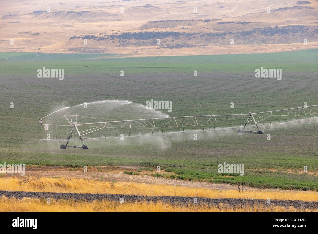 Center Pivot Irrigation with sprinkler system of field, Palouse area, Washington State, USA Stock Photo