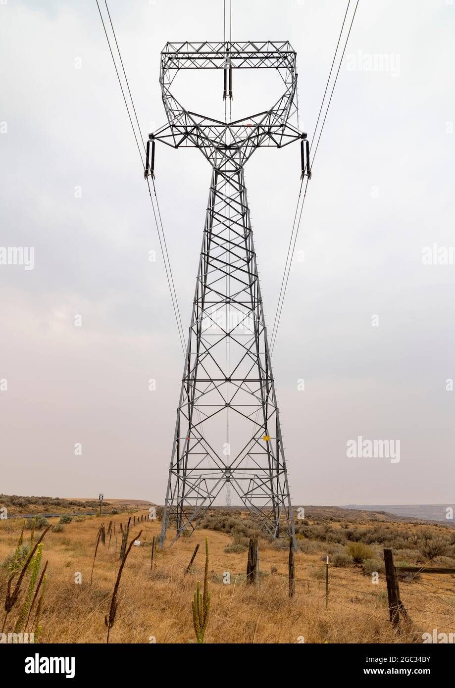 electricity power supply pylon, Washington State, USA Stock Photo Alamy
