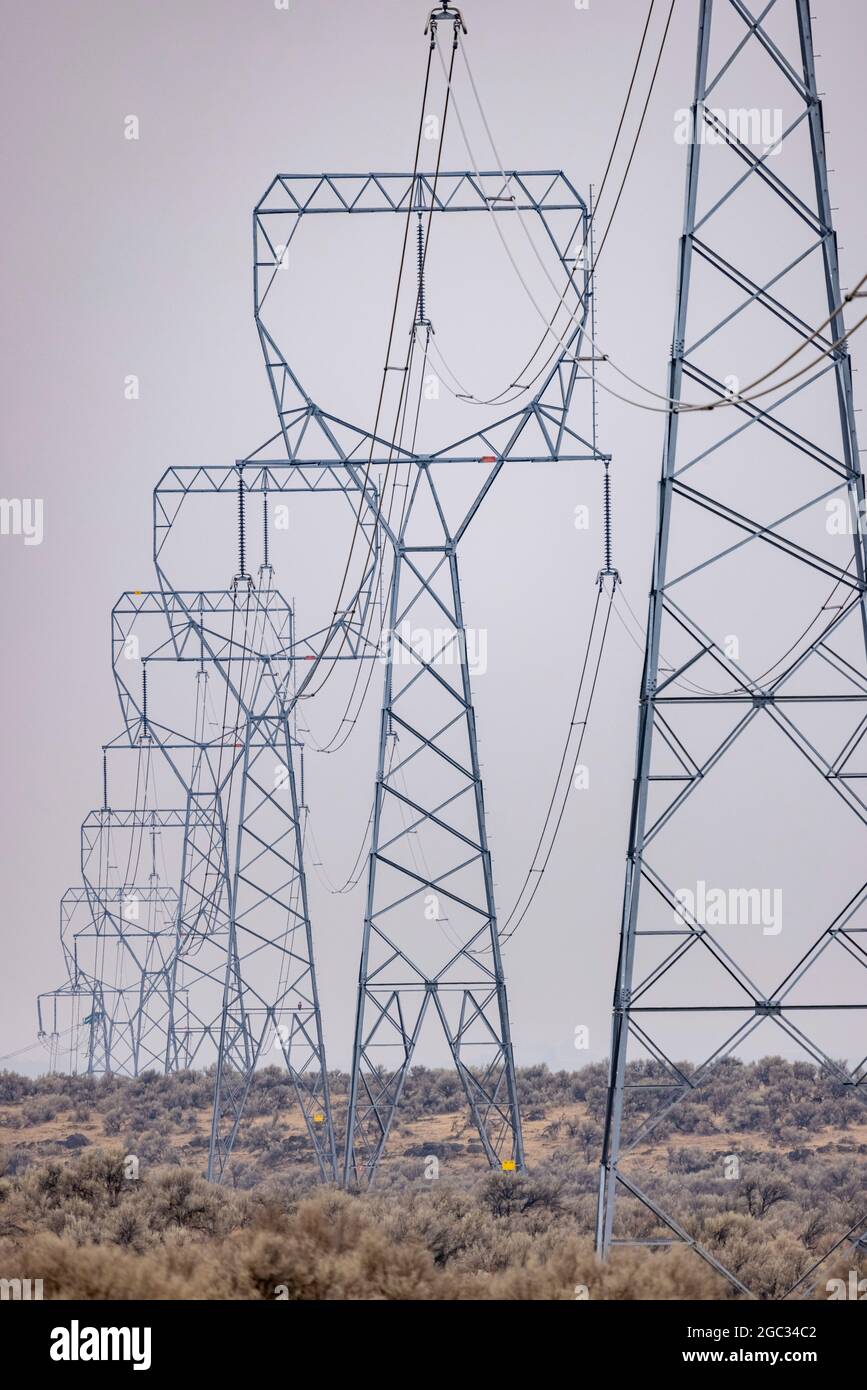 electricity power supply pylon, Washington State, USA Stock Photo Alamy