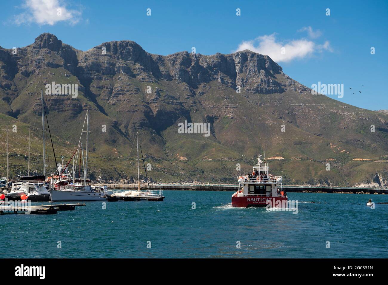 Tourist boat going on a seal colony cruise, Hout Bay harbour, South