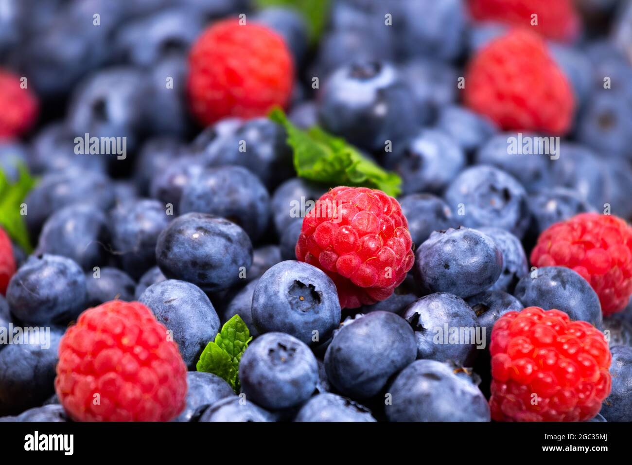 Blueberry and Raspberry with mint background. Top view. Close up view of fresh ripe mixed berries. Summer Fruits, Copyspace Stock Photo