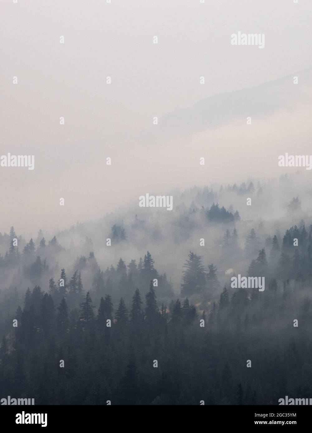 Bc Forest Fire Smoke High Resolution Stock Photography and Images - Alamy