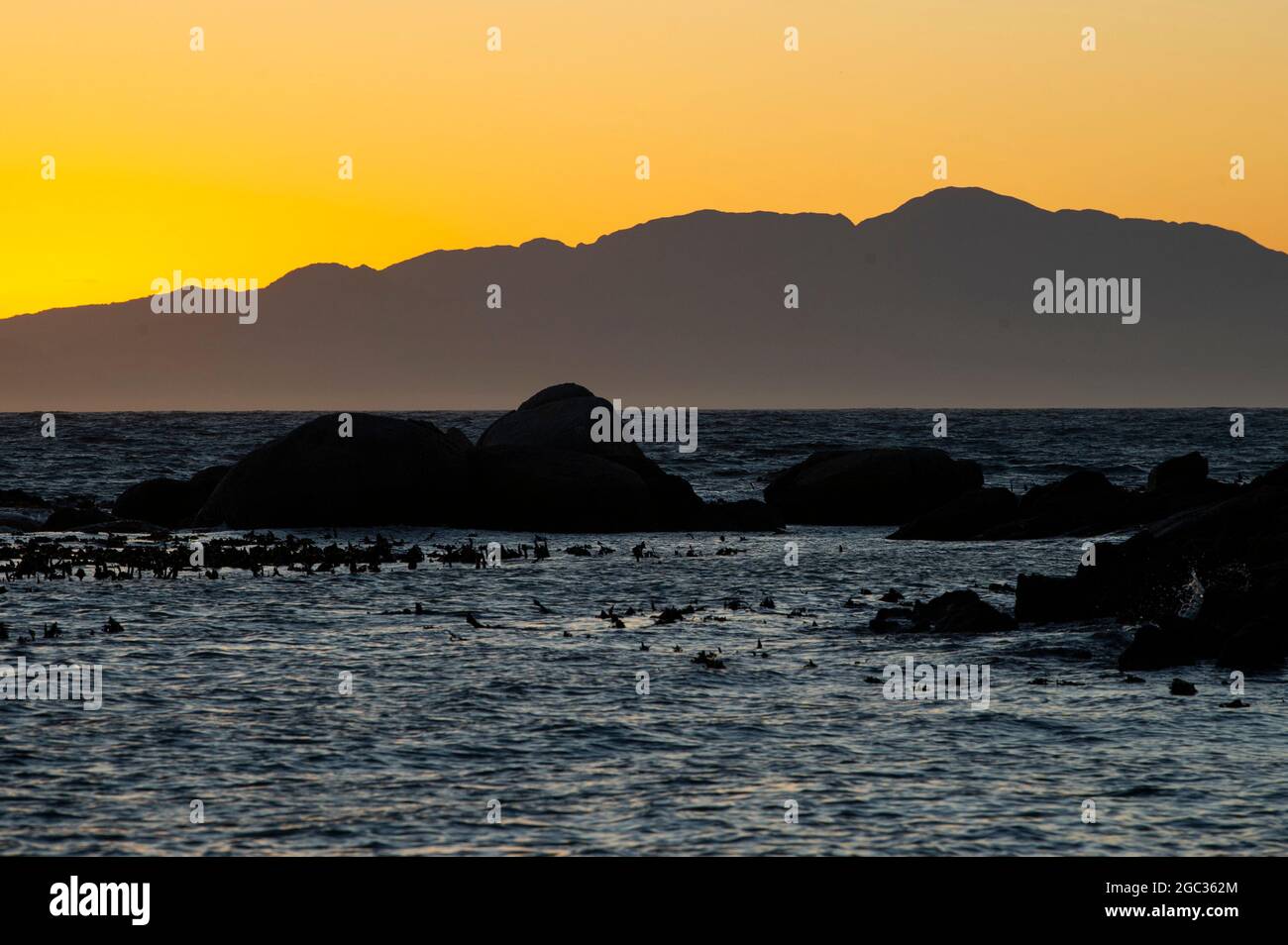 Sunrise, Boulders Beach, Cape Peninsula, South Africa Stock Photo