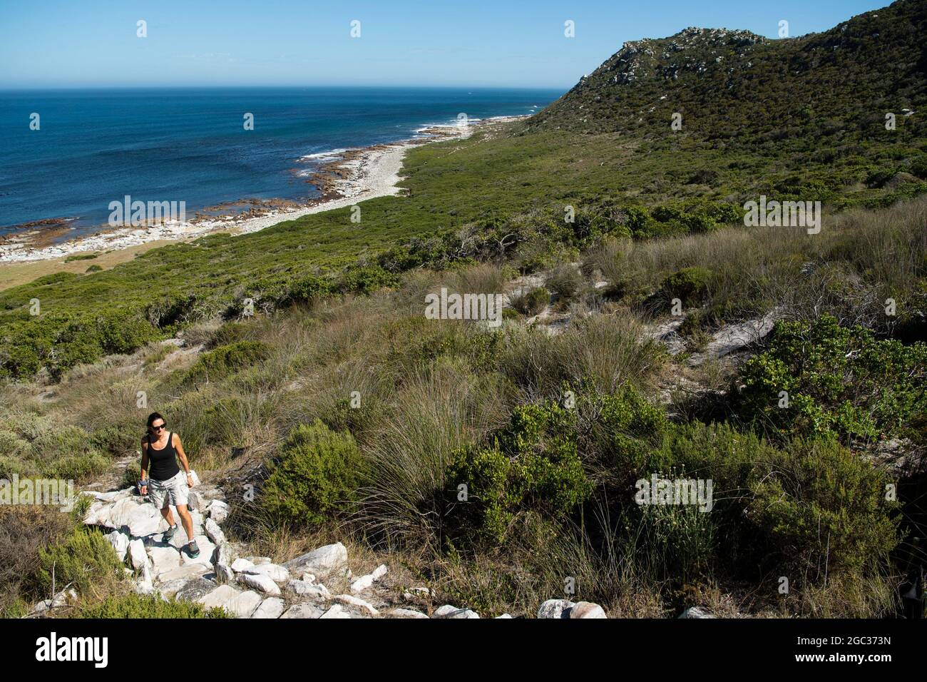 Hiker, Cape of Good Hope Nature Reserve, Cape Peninsula, South Africa Stock Photo