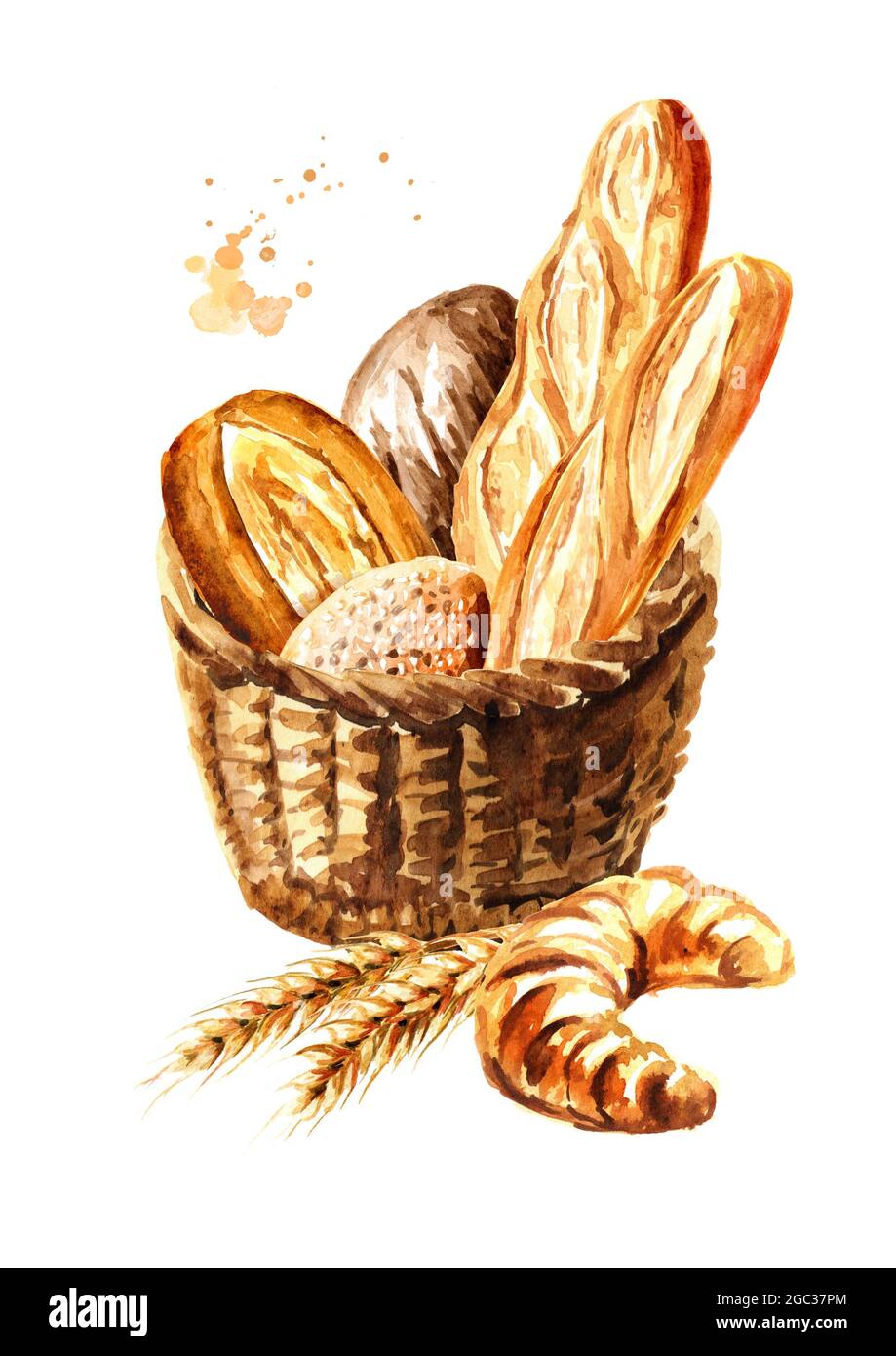 Fresh bread in the basket, Hand drawn watercolor, illustration isolated on  white background Stock Photo - Alamy, image size:919x1390