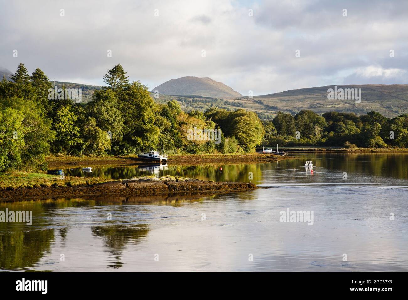 View up tidal Kenmare River from N71 road bridge in early morning light. Kenmare County Kerry Eire Ireland Stock Photo