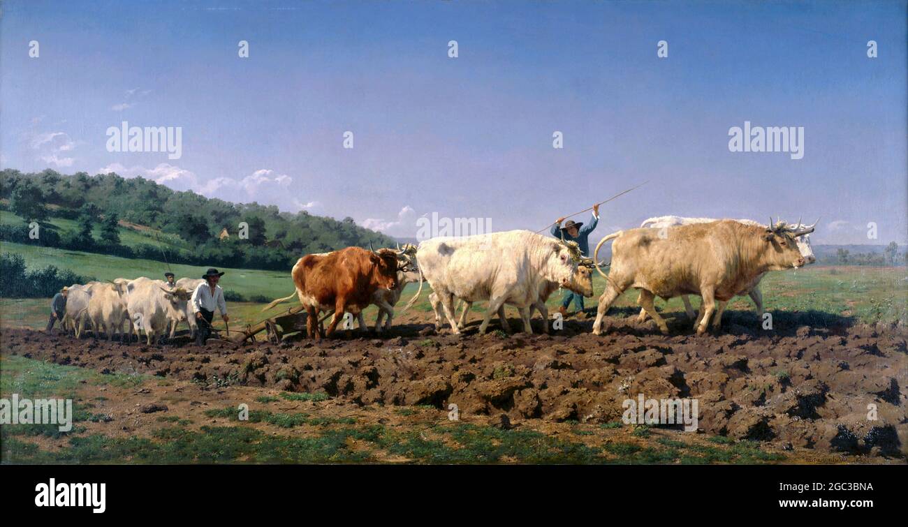 Ploughing in Nevers by Rosa Bonheur (Marie-Rosalie Bonheur: 1822-1899), oil on canvas, 1849 Stock Photo